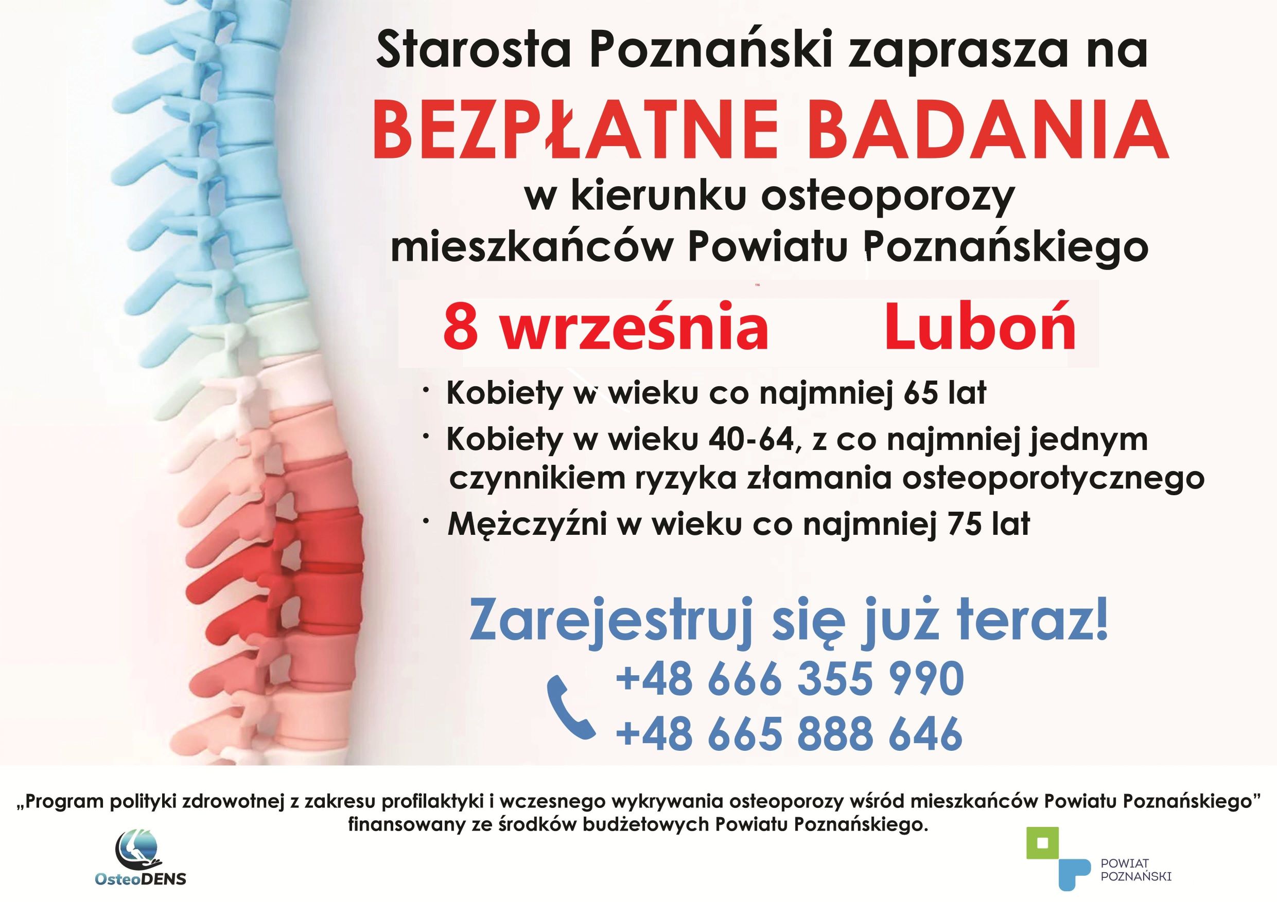 Grafika ozdobna, treść dostępna w artykule