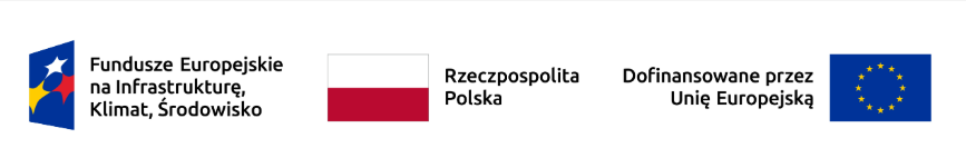 Logotypy dofinansowujące projekt 