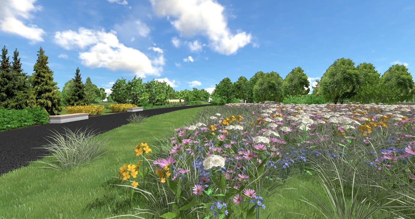 Projekt łąk kwietnych w Parku Papieskim